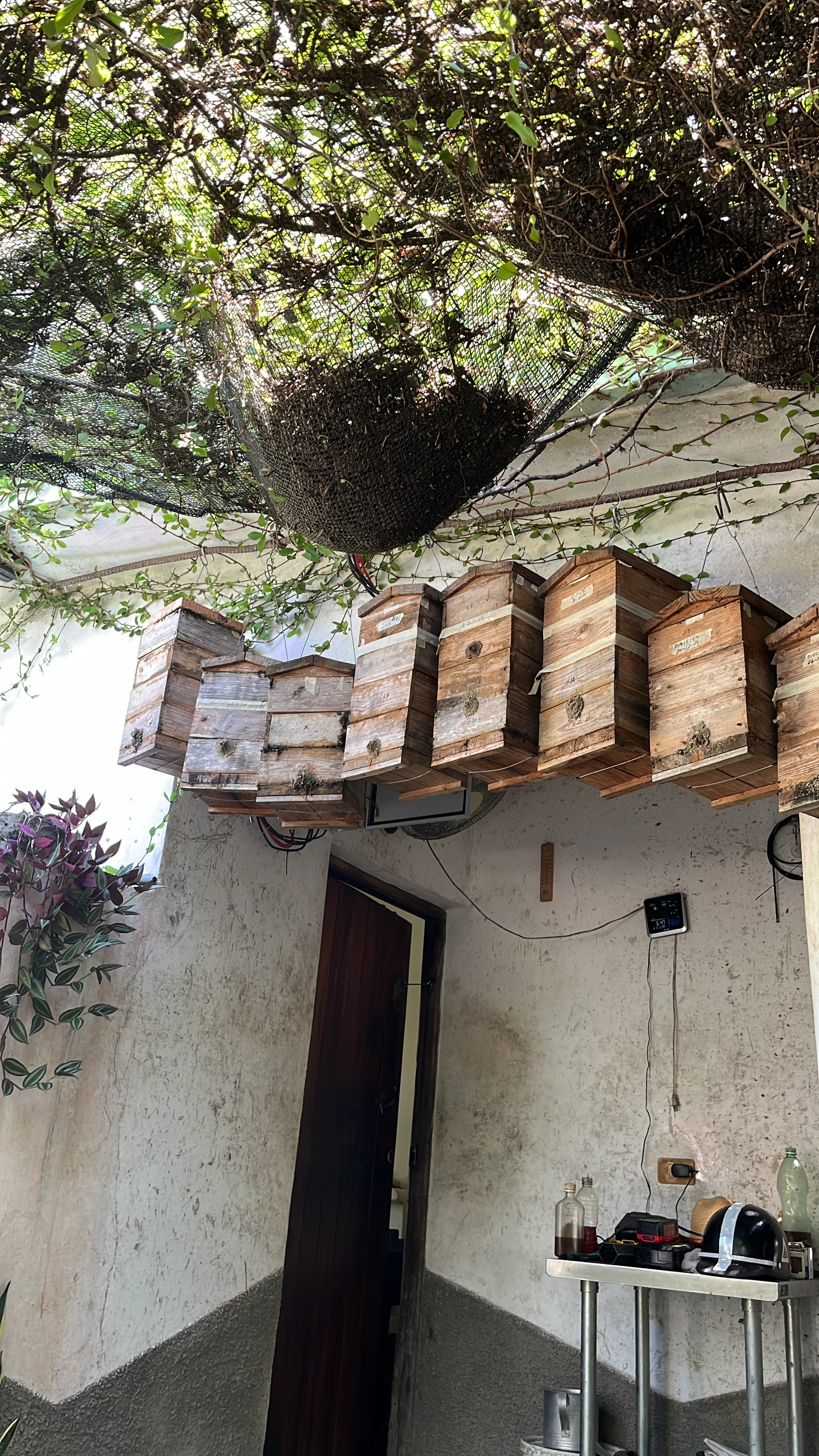 Les ruches d'abeilles natives de la ferme